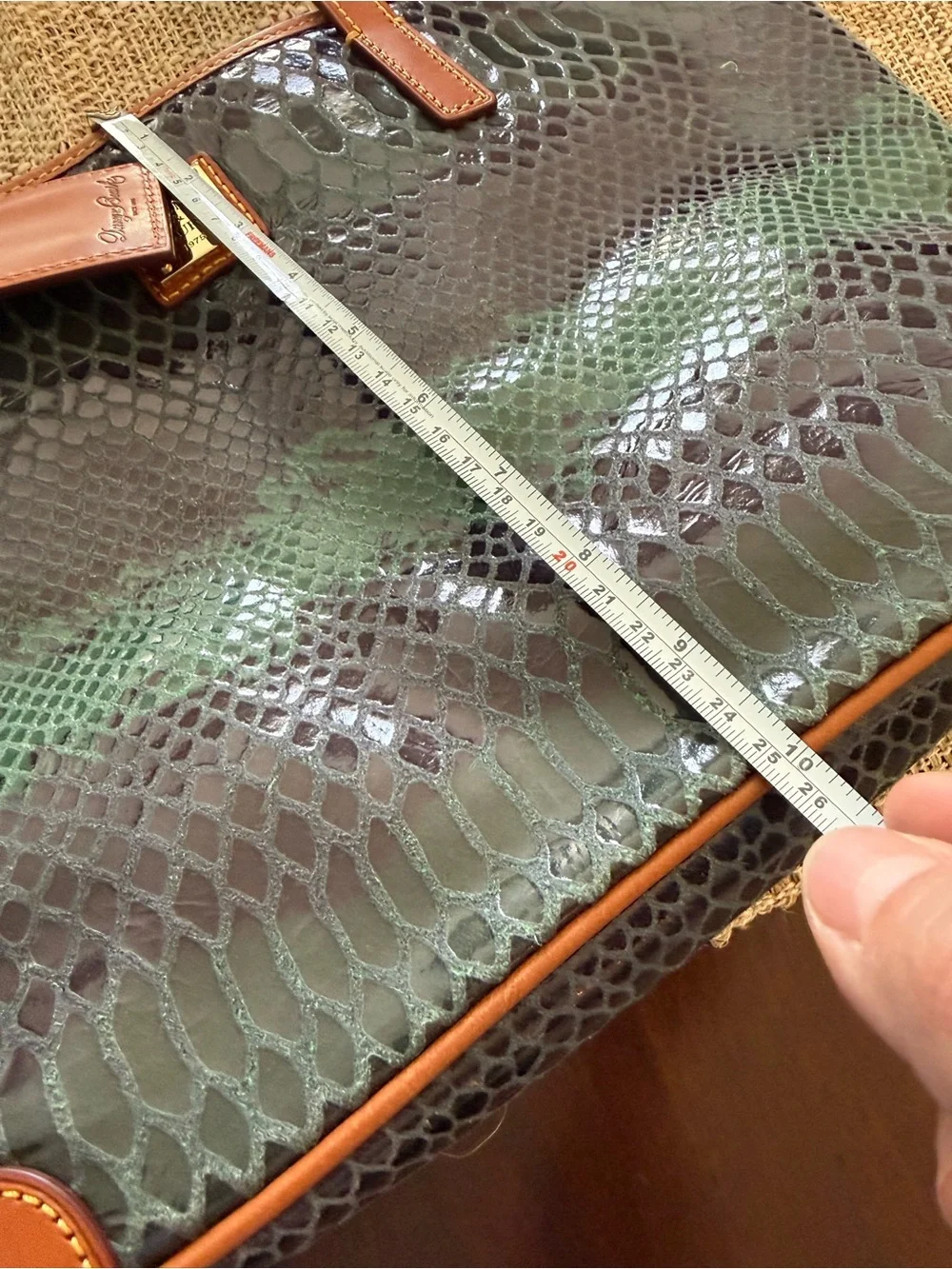 Dooney & Bourke Emerald Snake-Embossed Leather Messenger (charleston shopper)